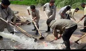 فرش‌شویی جهادی اعضای موکب شهدای کرمانشاه در لرستان + تصاویر