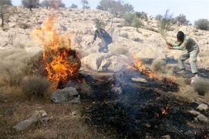 آتش‌سوزی مراتع و جنگل‌های استان فارس ۸۵ درصد کاهش یافت