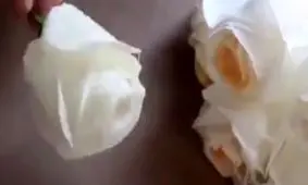 ایده جالب با دستمال توالت