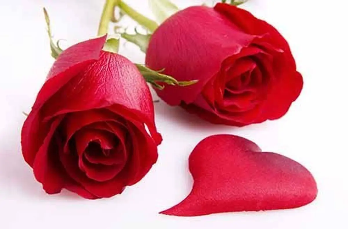 چگونه به زندگی مشترکمان جان دوباره دهیم؟