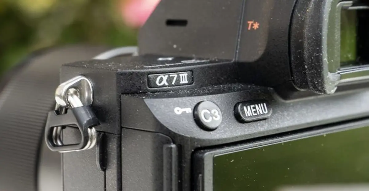 فوکوس روی چشم حیوانات ، قابلیت جدید دوربین‌های سونی