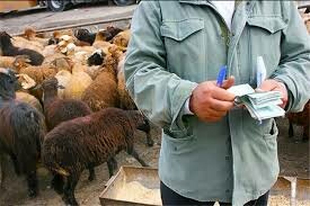 جدی بودن موضوع قاچاق دام در استانهای مرزی ایران