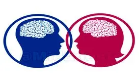 مغز زنان جوان‌تر از مغز مردان است