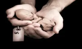 سقط جنین تجارتی پر سود !!!