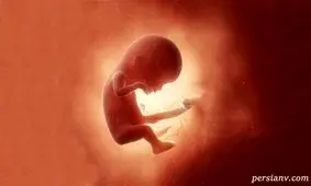 فال چینی برای پیش بینی جنسیت نوزاد