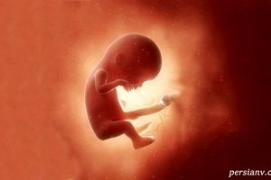 فال چینی برای پیش بینی جنسیت نوزاد
