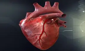 خطر سکته قلبی در این ساعت بالاست!!