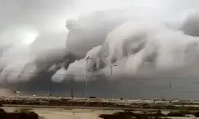 گمشو سیل احمق!