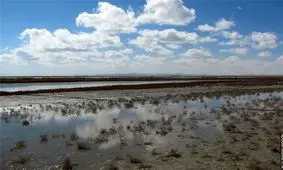 با جاری شدن سیلاب‌ها تنها ۲۰ درصد تالاب گاوخونی آبگیری شد