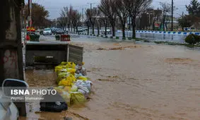 کیان‌پور: باید استان‌های معین لرستان هر چه زودتر دست به کار شوند