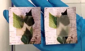 چوب شفاف، ماده ساختمانی جدید سازگار با محیط زیست