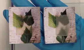 چوب شفاف، ماده ساختمانی جدید سازگار با محیط زیست
