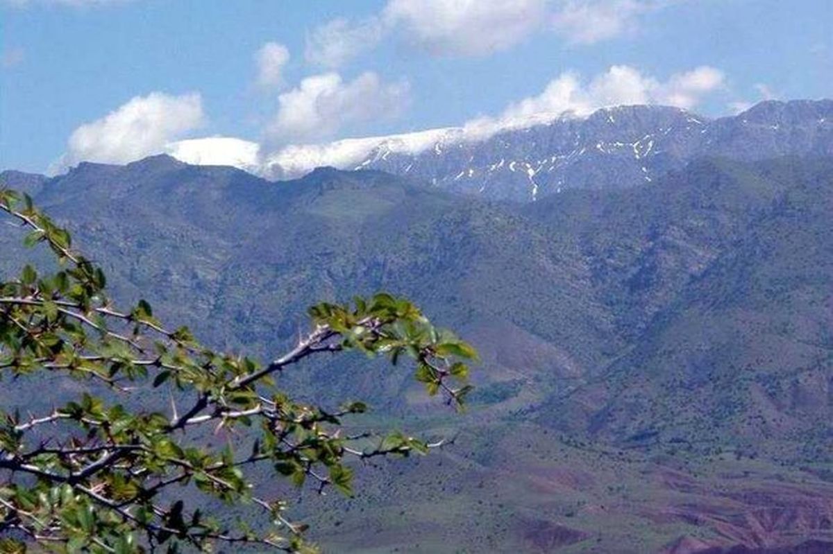 متهم زندهگیر بزغالههای منطقه چهلپا اندیمشک شناسایی شد