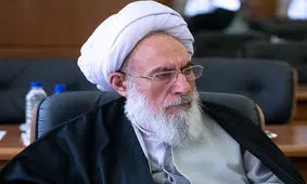 FATF در مجمع رأی نمی‌آورد/اقدام آمریکا روحیه مسئولان را تغییرداد