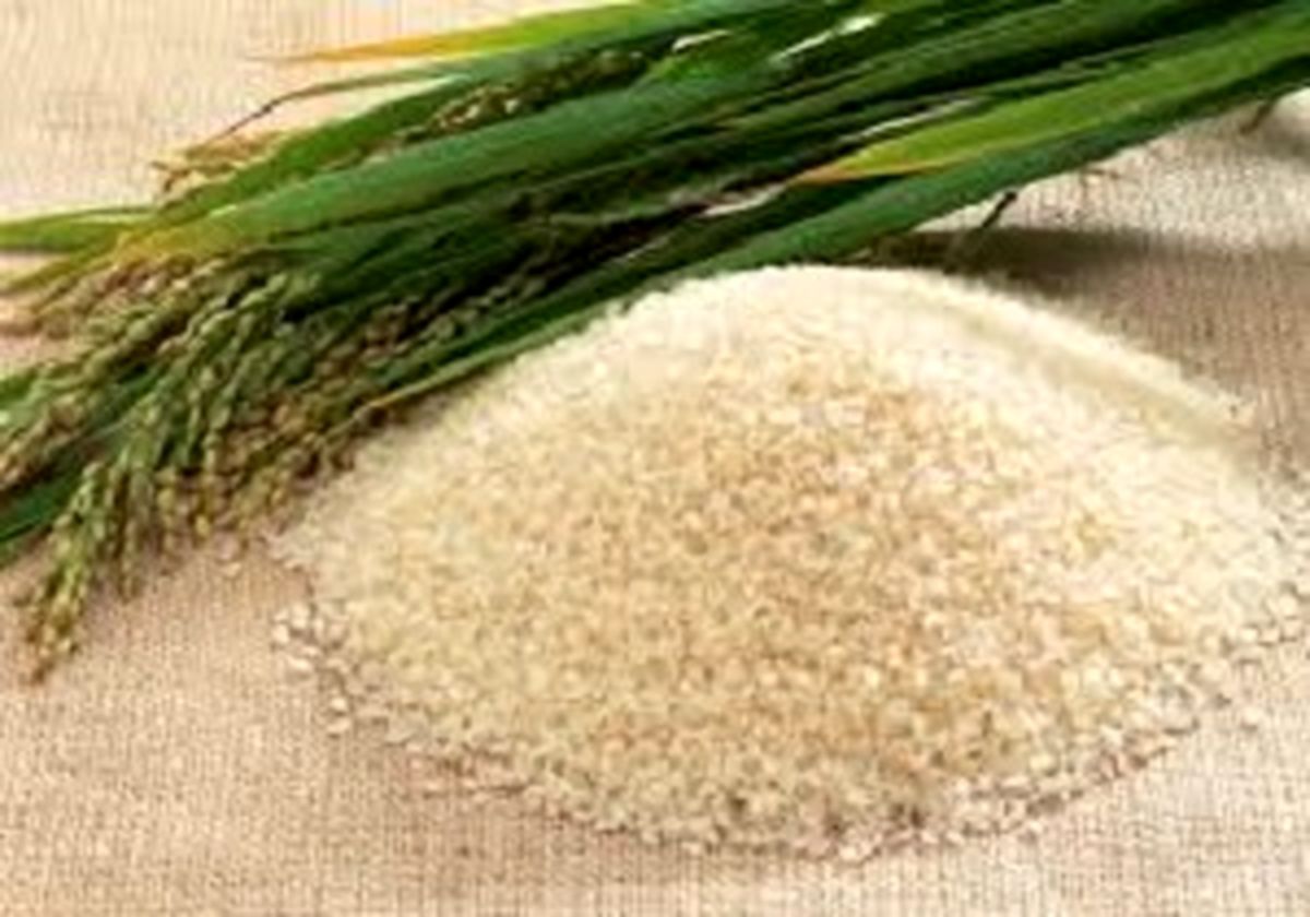 ارتباطی بین افزایش قیمت‌ برنج و سیل وجود ندارد/کمتر از ۳ درصد کشت برنج کشور آسیب دیده است