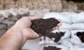 واردات چای و برنج با ارز ۴۲۰۰ تومانی تخلفی آشکار است