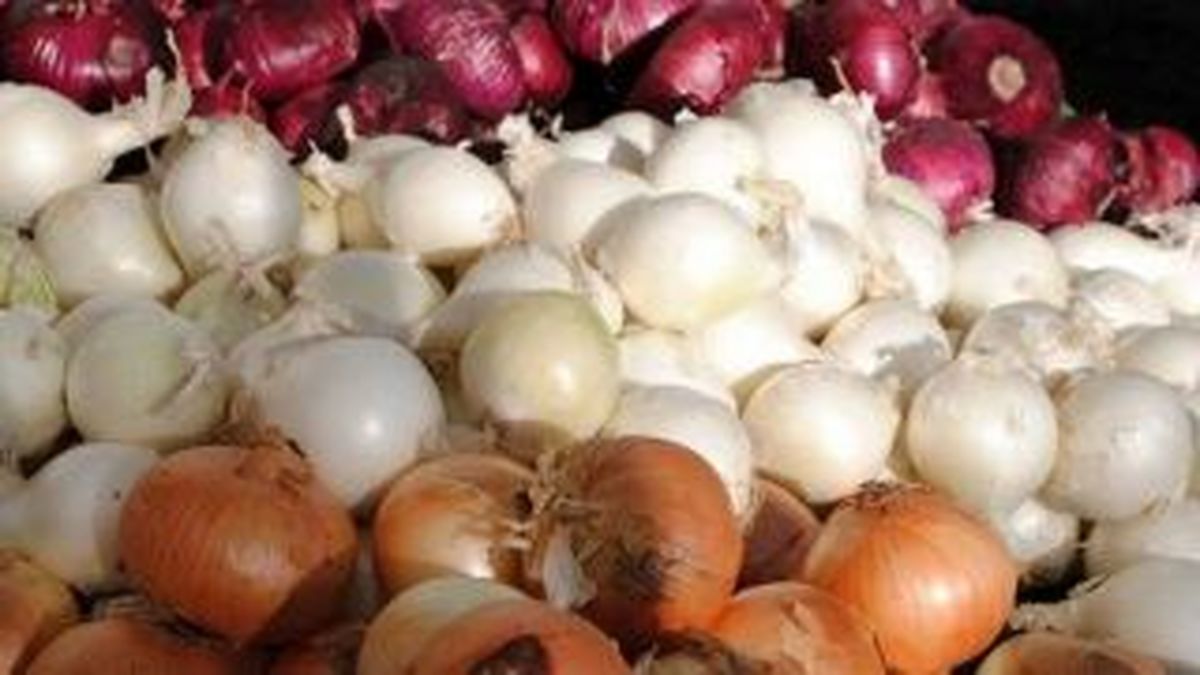 پاکستان برای صادرات پیاز به ایران با قیمت هزار و پانصد تومان التماس می کند