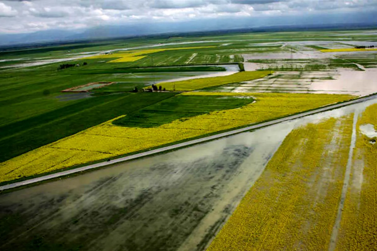 سیل ۲۵۴ میلیارد ریال به کشاورزی سیستان و بلوچستان خسارت زد