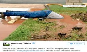 پربازدیدترین تصویر در فضای مجازی