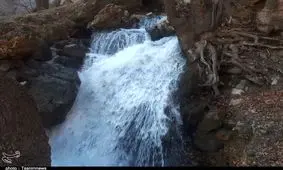 ۶۰۰ چشمه خشکیده کهگیلویه و بویراحمد جاری شدند