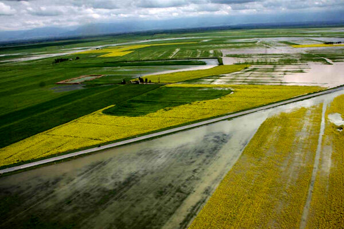 کاهش عملکرد محصولات زراعی بر اثر سیلاب در مازندران