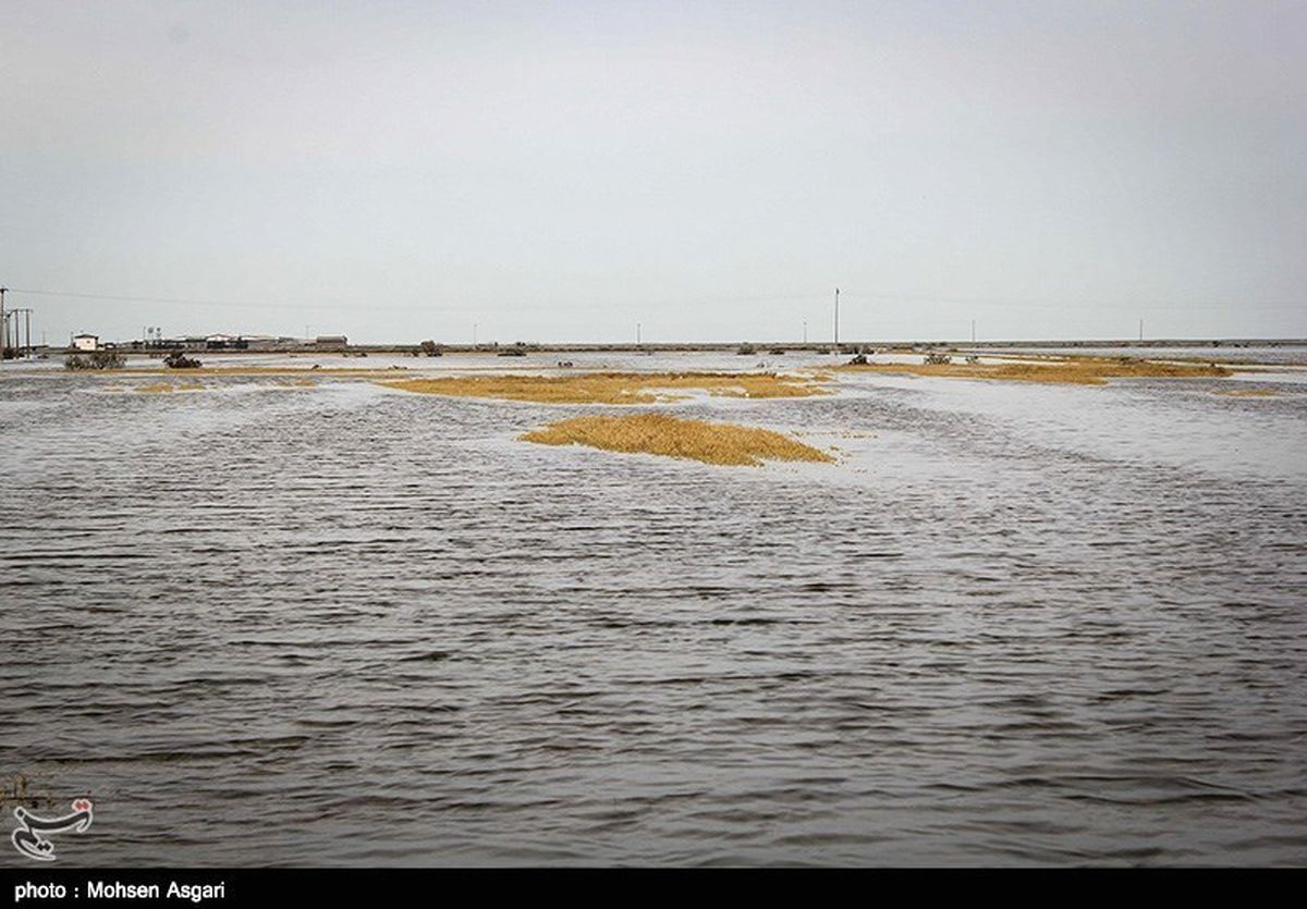 سیل ۲۵۴ میلیارد ریال به کشاورزی سیستان و بلوچستان خسارت زد