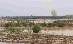 تخریب ۸ قنات شهرستان درمیان در سیل اخیر