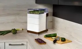 تبدیل آپارتمان به باغ و مزرعه