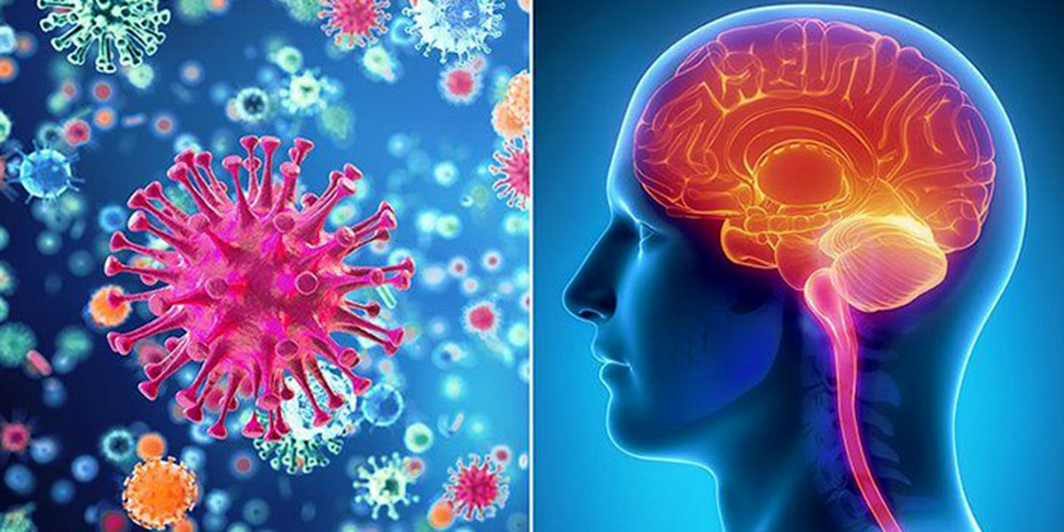 بیماری مننژیت ویروسی چیست؟ + علائم و راه های درمان