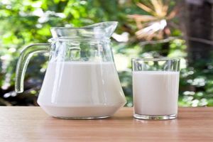 مردم کدام کشور بیشترین مصرف شیر در جهان را دارند؟