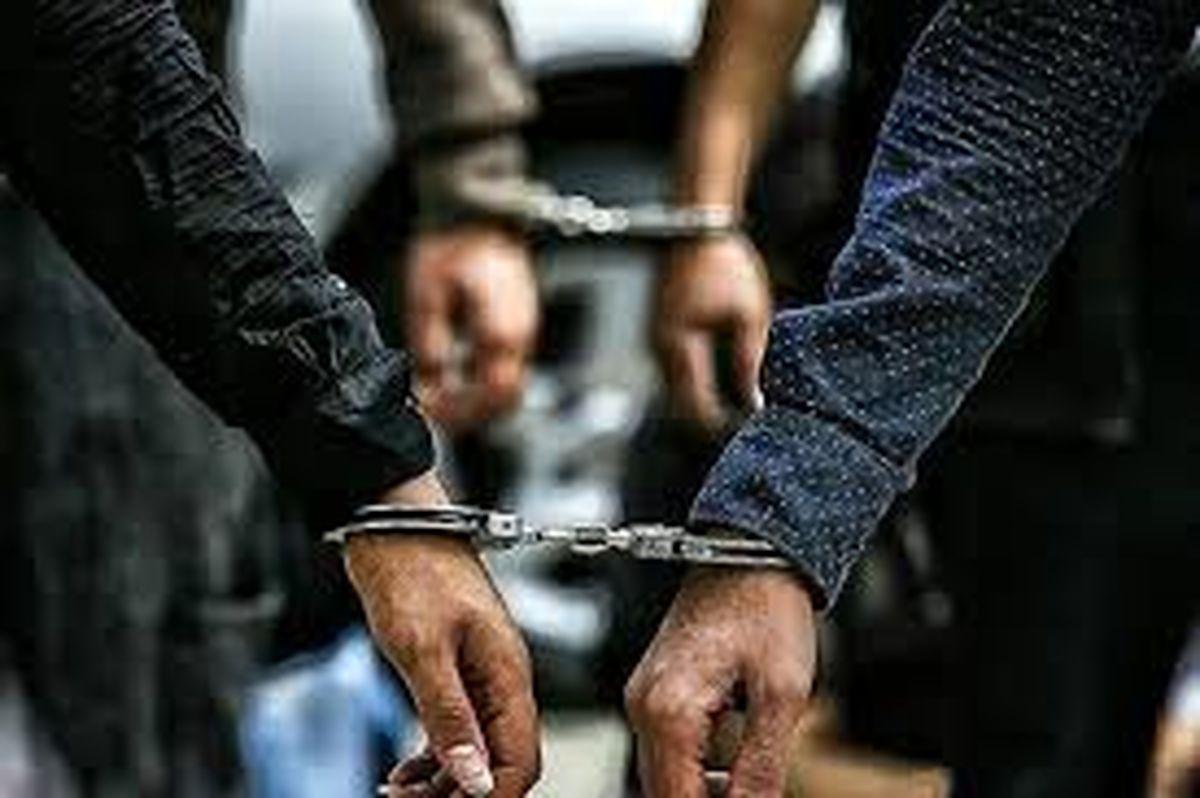 پلیس ۶۶۵ خلافکار را دستگیر کرد+فیلم