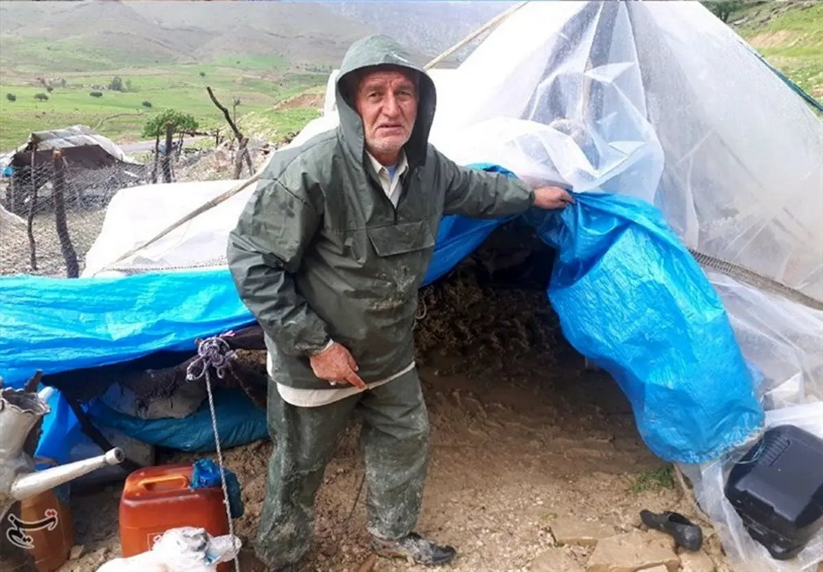 سهم نهاده‌های دامی عشایر استان اردبیل ۲ برابر شد؛ توزیع تانکرهای آب در مناطق عشایرنشین