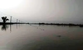 احتمال آبگرفتگی محور دارخوین به شادگان/ تعیین مسیرهای جایگزین