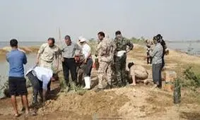 فیلم| انفجار دژ شاخه خروسی شادگان توسط سپاه