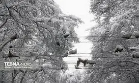 تولید الکتریسیته از بارش برف