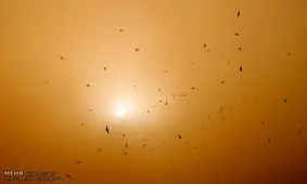 احتمال تشکیل توده گرد و خاک در زنجان/وزش باد شدید در راه است