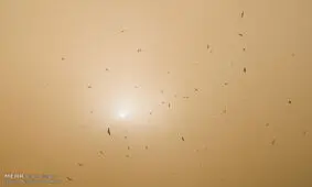 احتمال تشکیل توده گرد و خاک در زنجان/وزش باد شدید در راه است