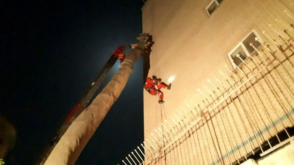 یک اصله درخت تنومند 20 متری در مشهد سقوط کرد