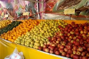 توزیع میوه شب عید از ۲۵ اسفندماه در چهارمحال و بختیاری آغاز می‌شود