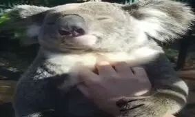 بخوابیم !