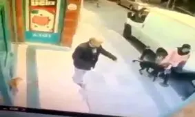 گنده لات محل !