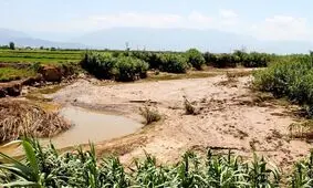 ۸ هزار هکتار از باغات خراسان جنوبی در سیل اخیر خسارت دید
