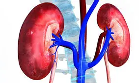 چطور مانع از کار افتادگی کلیه هایمان شویم؟