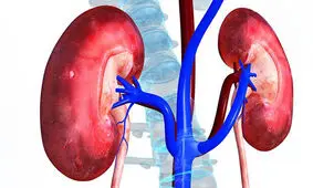 چطور مانع از کار افتادگی کلیه هایمان شویم؟