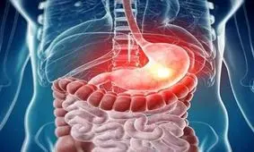 انیمیشن جالبی از عملکرد دستگاه گوارش و مراحل هضم غذا/ ویدئو