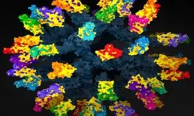 توسعه "واکسن نانوذرات" برای مقابله با انواع کروناویروس
