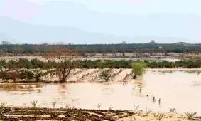 سیل ایلام به ۳۵۰۰ هکتار از اراضی دره‌شهر آسیب جدی وارد کرد