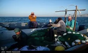 فعالیت‌های صیادی در دریاچه پشت سدهای ارس و مهاباد ممنوع ‌شد