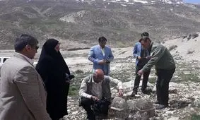 ۸ قطعه کبک وحشی در طبیعت دنای شرقی رهاسازی شد