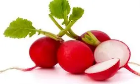 با تربچه به جنگ سنگ کلیه بروید !